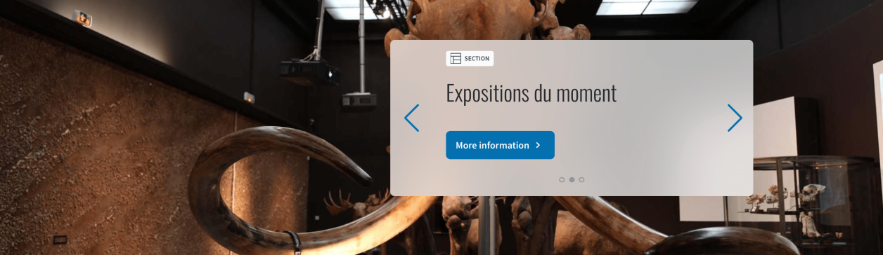 Refonte site Musée d’Anthropologie de Monaco